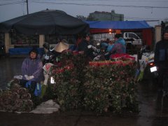 02-On the flower market, very early in the morning